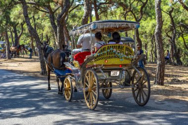 Istanbul, Türkiye, 20 Ağustos 2018: Buyukada ada sokak görünümü. Koç ve atlara Buyukada, Prens Adaları Istanbul bölgesinde