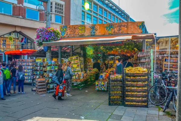 Amsterdam Nizozemsko Srpna 2014 Lale Tulipánu Květin Holandska Prodej Amsterdam — Stock fotografie