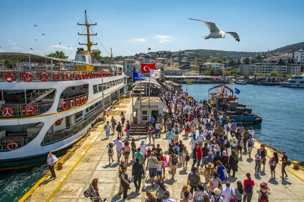 Estambul Turquía Agosto 2018 Buyukada Island Street View Autobús Caballos — Foto de Stock