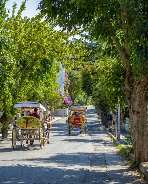 Istanbul Turchia Agosto 2018 Buyukada Island Street View Allenatore Cavalli — Foto Stock