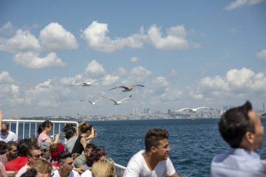 Istanbul, Türkiye, 20 Ağustos 2018: seyahat yolcu gemisi - Türkiye'de popüler deniz yolculuğu. İstanbul Boğazı ile Türk vapur - Istanbul deniz bir martı ile manzarası. Istanbul turları - Boğaziçi Köprüsü için deniz gezisi.