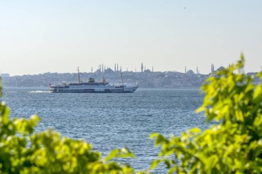Istanbul, Türkiye, 20 Ağustos 2018: seyahat yolcu gemisi - Türkiye'de popüler deniz yolculuğu. İstanbul Boğazı ile Türk vapur - Istanbul deniz bir martı ile manzarası. Istanbul turları - Boğaziçi Köprüsü için deniz gezisi.