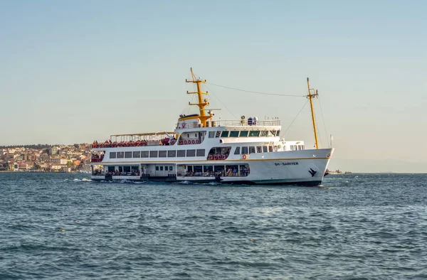 Istanbul Turquía Enero 2019 Arquitectura Musulmana Transporte Acuático Turquía Hermosas —  Fotos de Stock