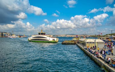 Istanbul, Türkiye, 20 Ağustos 2018: seyahat yolcu gemisi - Türkiye'de popüler deniz yolculuğu. İstanbul Boğazı ile Türk vapur - Istanbul deniz bir martı ile manzarası. Istanbul turları - Boğaziçi Köprüsü için deniz gezisi.