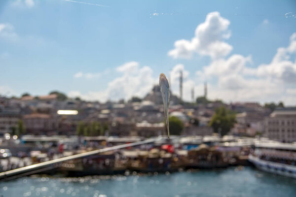 Рыбалка на мосту Галата и Золотой Рог, Стамбул Турция
