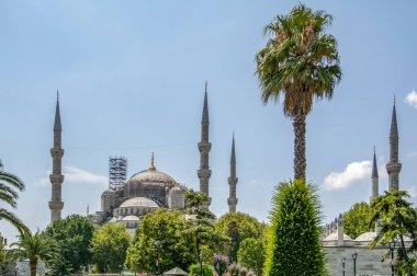 Sultan Ahmet cami Istanbul, Türkiye - 28 Ağustos: Sultanahmet Camii, (Sultanahmet Camii) ve kadın turist, Istanbul