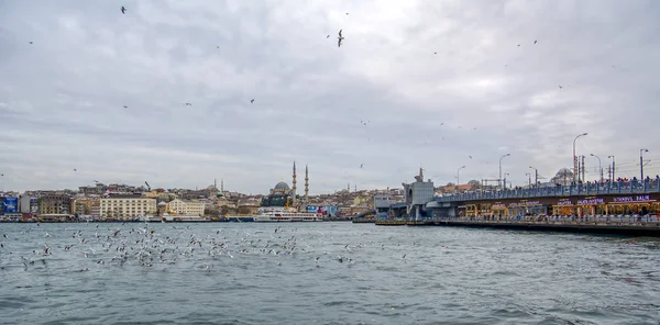 Istanbul Türkei Januar 2019 Muslimische Architektur Und Wassertransport Der Türkei — Stockfoto