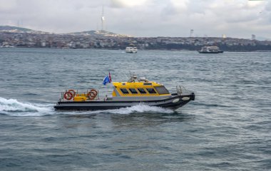 Yolcu seyahat gemi - Türkiye'de popüler deniz yolculuğu. İstanbul Boğazı ile Türk vapur - Istanbul deniz bir martı ile manzarası. Istanbul turları - Boğaziçi Köprüsü için deniz gezisi.