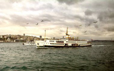 Yolcu seyahat gemi - Türkiye'de popüler deniz yolculuğu. İstanbul Boğazı ile Türk vapur - Istanbul deniz bir martı ile manzarası. Istanbul turları - Boğaziçi Köprüsü için deniz gezisi.