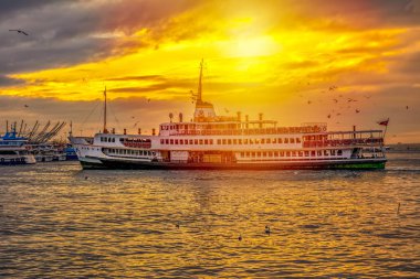 Yolcu seyahat gemi - Türkiye'de popüler deniz yolculuğu. İstanbul Boğazı ile Türk vapur - Istanbul deniz bir martı ile manzarası. Istanbul turları - Boğaziçi Köprüsü için deniz gezisi.