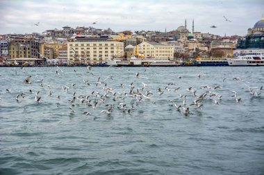 01 Ocak 2019: Türkiye'de Müslüman mimarisi ve su taşıma - güzel manzara turistik yerlerinden denizden Boğaz üzerinde yolculuk. Cityscape gün batımında - Istanbul 'un eski Camii ve Türk vapurlar, görüntülemek Haliç '.