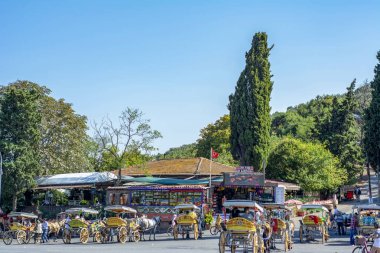 Istanbul, Türkiye, 20 Ağustos 2018: Buyukada ada sokak görünümü. Koç ve atlara Buyukada, Prens Adaları Istanbul bölgesinde