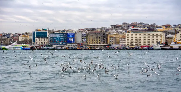 Istanbul Turkey January 2019 Muslim Architecture Water Transport Turkey Beautiful — Stock Photo, Image