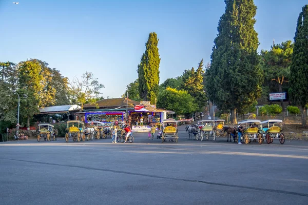 Istanbul Turchia Agosto 2018 Buyukada Island Street View Allenatore Cavalli — Foto Stock