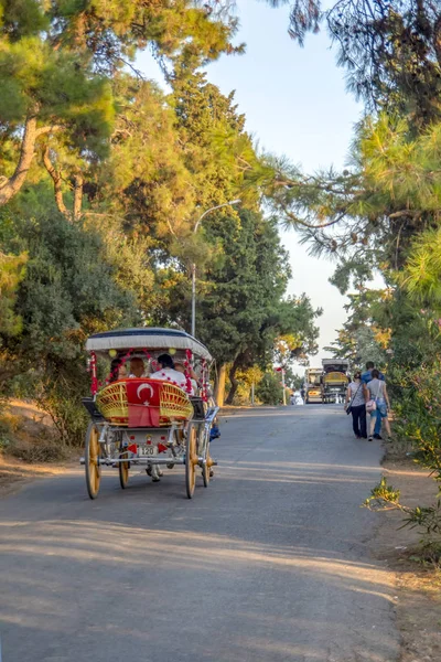 Istanbul Turchia Agosto 2018 Buyukada Island Street View Allenatore Cavalli — Foto Stock