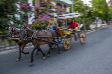 Istanbul, Türkiye, 20 Ağustos 2018: Buyukada ada sokak görünümü. Koç ve atlara Buyukada, Prens Adaları Istanbul bölgesinde