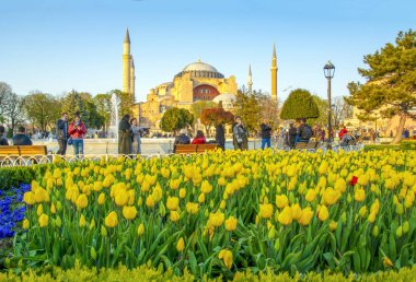 İstanbul Türkiye 04 Nisan 2019: Ayasofya, İstanbul Sultan Ahmet Meydanı'nda lale ve çeşmenin arkasında görülüyor