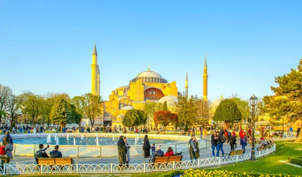 Istambul Turquia Abril 2019 Hagia Sophia Vista Atrás Tulipas Fonte — Fotografia de Stock