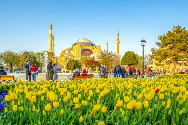 Estambul Turquía Abril 2019 Santa Sofía Detrás Los Tulipanes Fuente — Foto de Stock