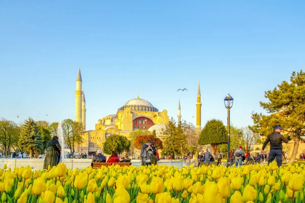 Istambul Turquia Abril 2019 Hagia Sophia Vista Atrás Tulipas Fonte — Fotografia de Stock