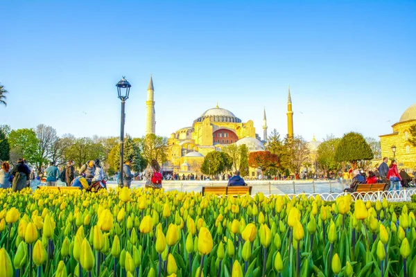 Istambul Turquia Abril 2019 Hagia Sophia Vista Atrás Tulipas Fonte — Fotografia de Stock