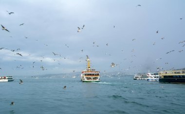 Türkiye'de Müslüman mimarisi ve su taşıma - güzel manzara turistik yerlerinden denizden Boğaz üzerinde yolculuk. Cityscape gün batımında - Istanbul 'un eski Camii ve Türk vapurlar, görüntülemek Haliç '.
