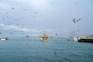 Türkiye'de Müslüman mimarisi ve su taşıma - güzel manzara turistik yerlerinden denizden Boğaz üzerinde yolculuk. Cityscape gün batımında - Istanbul 'un eski Camii ve Türk vapurlar, görüntülemek Haliç '.