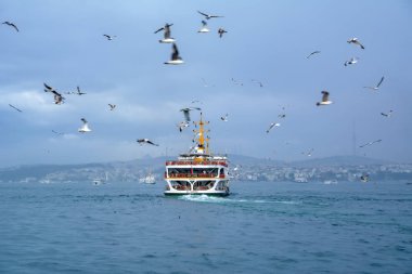 Türkiye'de Müslüman mimarisi ve su taşıma - güzel manzara turistik yerlerinden denizden Boğaz üzerinde yolculuk. Cityscape gün batımında - Istanbul 'un eski Camii ve Türk vapurlar, görüntülemek Haliç '.
