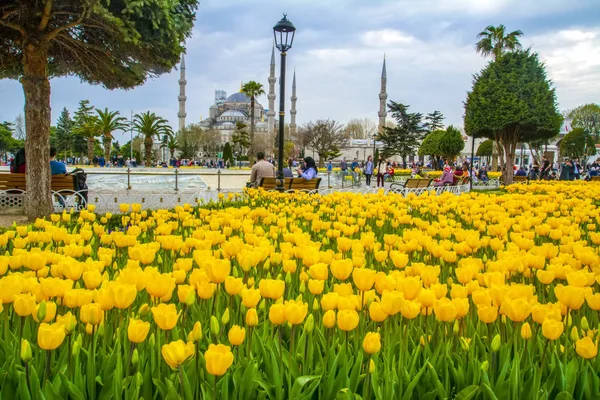 Istambul Turquia Abril 2019 Museu Hagia Sophia Istambul Turquia — Fotografia de Stock