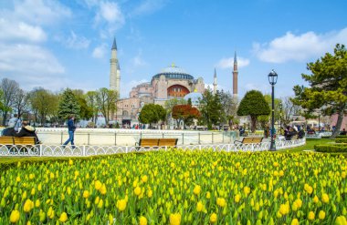 İstanbul Türkiye 04 Nisan 2019: Ayasofya, İstanbul Sultan Ahmet Meydanı'nda lale ve çeşmenin arkasında görülüyor