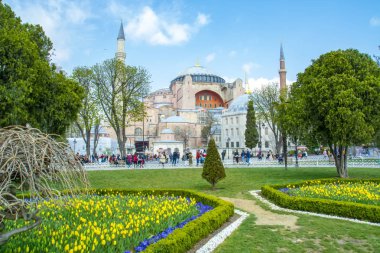 İstanbul Türkiye 04 Nisan 2019: Ayasofya, İstanbul Sultan Ahmet Meydanı'nda lale ve çeşmenin arkasında görülüyor