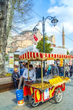 İstanbul Türkiye 04 Nisan 2019: Ayasofya, İstanbul Sultan Ahmet Meydanı'nda lale ve çeşmenin arkasında görülüyor
