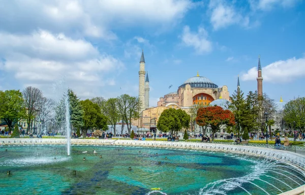 Istambul Turquia Abril 2019 Hagia Sophia Vista Atrás Tulipas Fonte — Fotografia de Stock