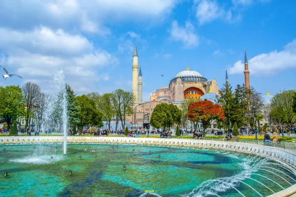 Istambul Turquia Abril 2019 Hagia Sophia Vista Atrás Tulipas Fonte — Fotografia de Stock