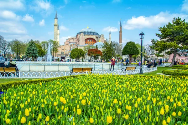 Estambul Turquía Abril 2019 Santa Sofía Detrás Los Tulipanes Fuente — Foto de Stock