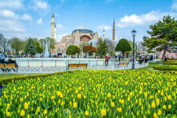 Istambul Turquia Abril 2019 Hagia Sophia Vista Atrás Tulipas Fonte — Fotografia de Stock