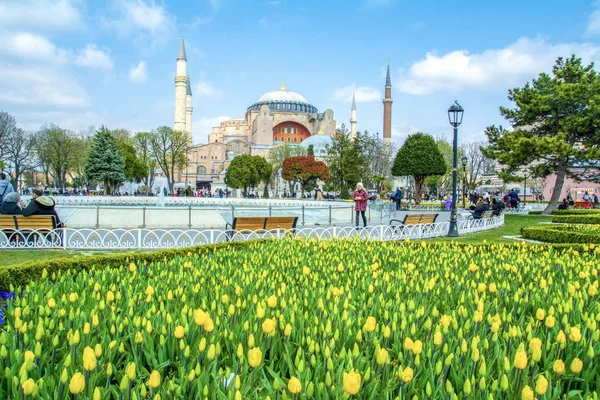 Istanbul Turquie Avril 2019 Hagia Sophia Est Vue Derrière Des — Photo