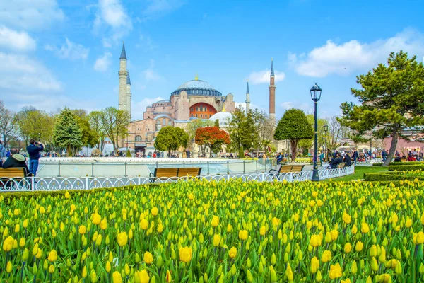 Istambul Turquia Abril 2019 Hagia Sophia Vista Atrás Tulipas Fonte — Fotografia de Stock
