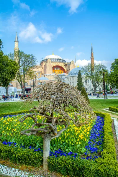 Стамбул Турция Апреля 2019 Года Тюльпанами Фонтаном Площади Султан Ахмет — стоковое фото