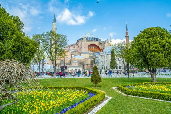 Estambul Turquía Abril 2019 Santa Sofía Detrás Los Tulipanes Fuente — Foto de Stock