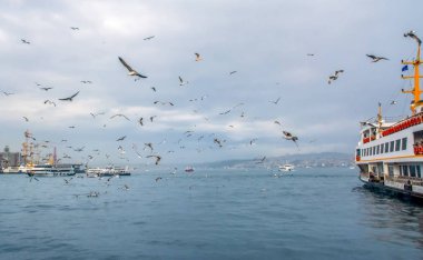Türkiye'de Müslüman mimarisi ve su taşıma - güzel manzara turistik yerlerinden denizden Boğaz üzerinde yolculuk. Cityscape gün batımında - Istanbul 'un eski Camii ve Türk vapurlar, görüntülemek Haliç '.