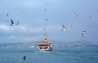 Türkiye'de Müslüman mimarisi ve su taşıma - güzel manzara turistik yerlerinden denizden Boğaz üzerinde yolculuk. Cityscape gün batımında - Istanbul 'un eski Camii ve Türk vapurlar, görüntülemek Haliç '.