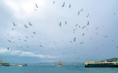 Türkiye'de Müslüman mimarisi ve su taşıma - güzel manzara turistik yerlerinden denizden Boğaz üzerinde yolculuk. Cityscape gün batımında - Istanbul 'un eski Camii ve Türk vapurlar, görüntülemek Haliç '.