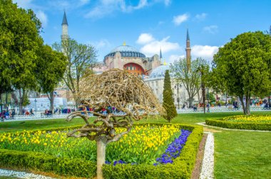 Ayasofya, İstanbul'daki Sultan Ahmet Meydanı'nda lale ve çeşmenin arkasında görülüyor.
