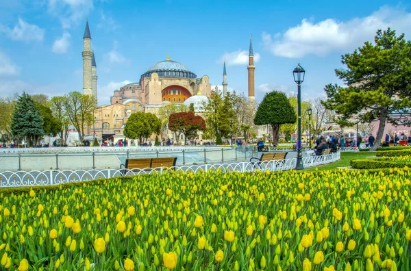 Hagia Sophia Est Vue Derrière Des Tulipes Une Fontaine Sur — Photo