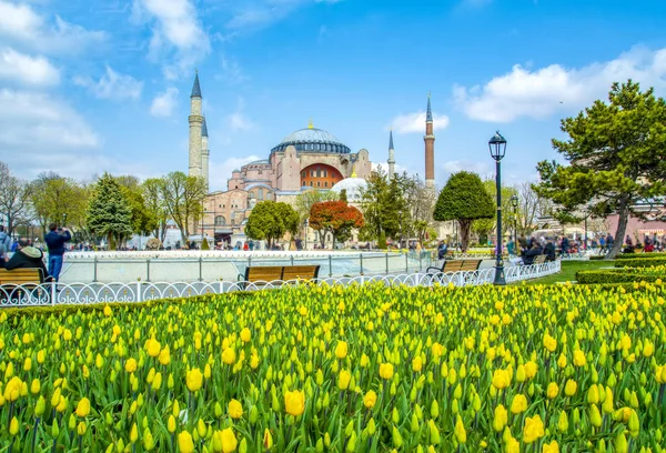 Hagia Sophia Hinter Tulpen Und Brunnen Sultan Ahmet Platz Istanbul — Stockfoto