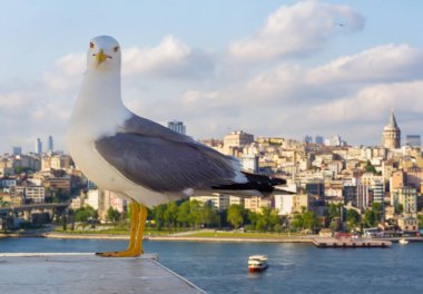 Galata Kulesi, Galata Köprüsü Karaköy bölge ve Haliç, istanbul Türkiye