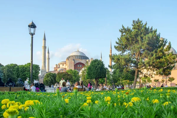 Istambul Turquia Junho 2019 Arquitetura Dia Ensolarado Museu Hagia Sophia — Fotografia de Stock