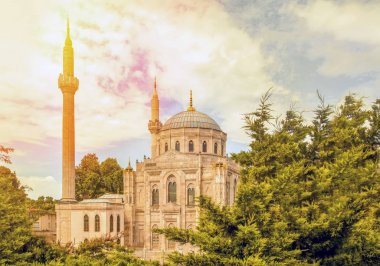 Pertevniyal Valide Sultan Camii, İstanbul'da bir Osmanlı imparatorluk camii ile Çiçekler, Türkiye. Mavi bulutlu gökyüzü ile yaz güneşli gün.