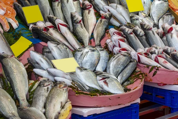 Deniz ürünleri pazarında taze balık